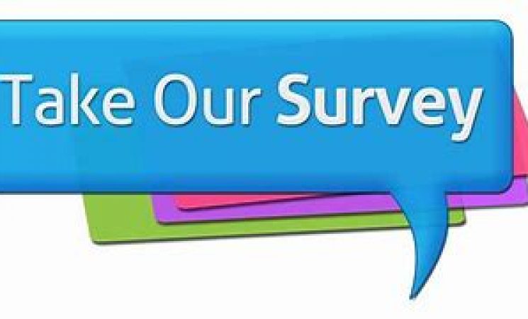 THE HUNDRED Fan Experience Survey