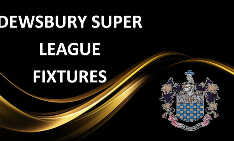 Dewsbury and District Cricket League – 8 a side Competition