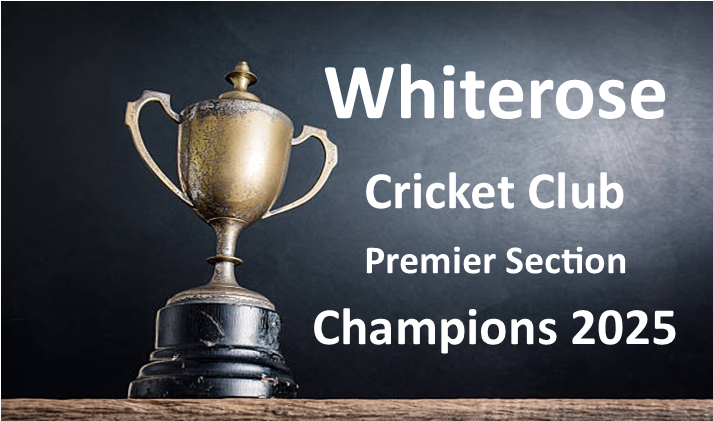 Champions image2.pub