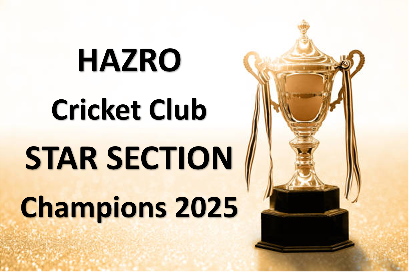 Hazro Champions